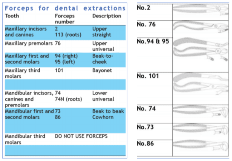 dental forceps numbers